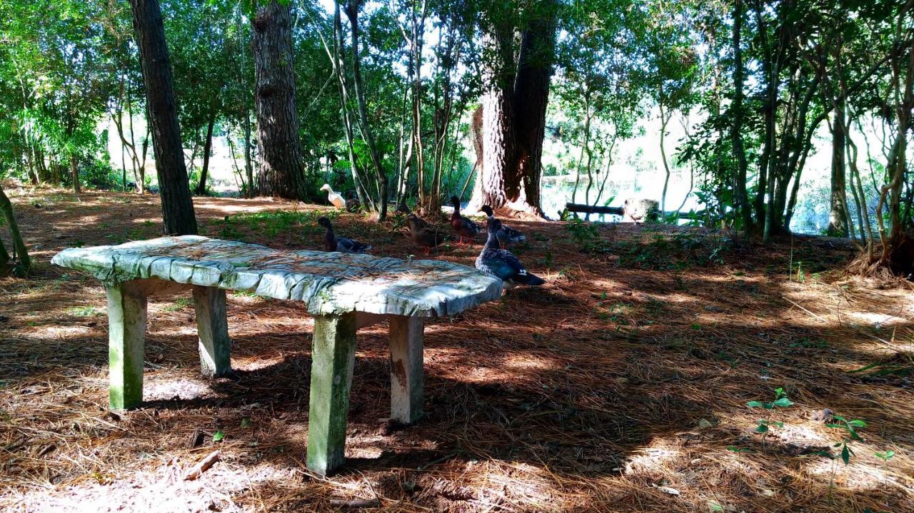 Choupana Das Araucarias Sapiranga Ngoại thất bức ảnh